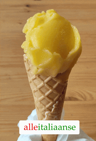 Een zelfgemaakt mango sorbetijs