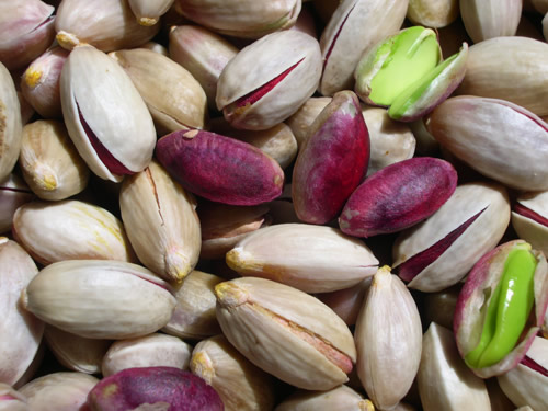 Freshly harvested pistachio from Bronte