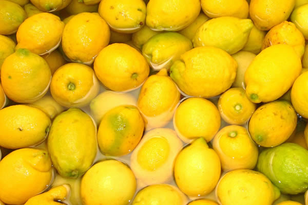 Sorrento citroenen