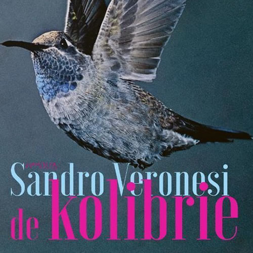 Sandro Veronesi - De kolibrie