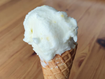 Homemade sorbet ice cream with the ice cream maker