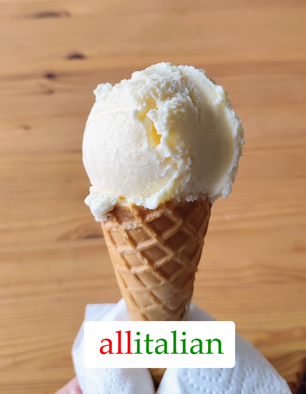 Homemade yogurt gelato - Authentic Italian recipe