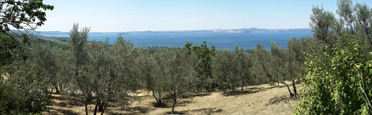 Panorama van het Meer van Bolsena